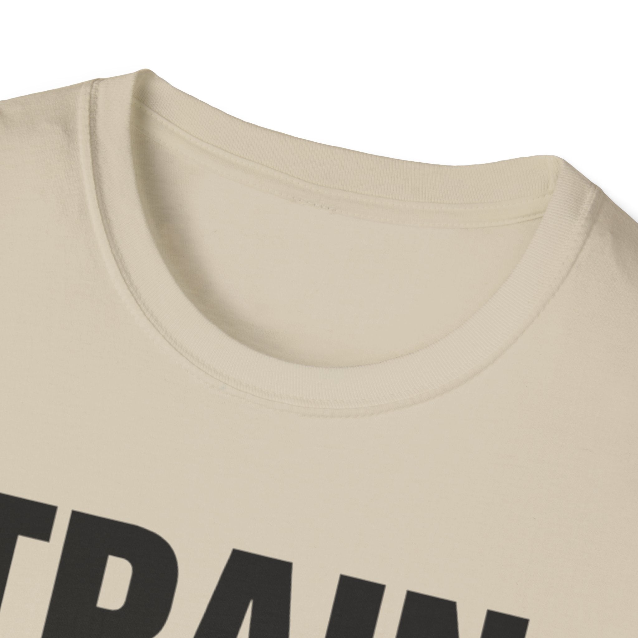Train In Silence-Temple North T-Shirt