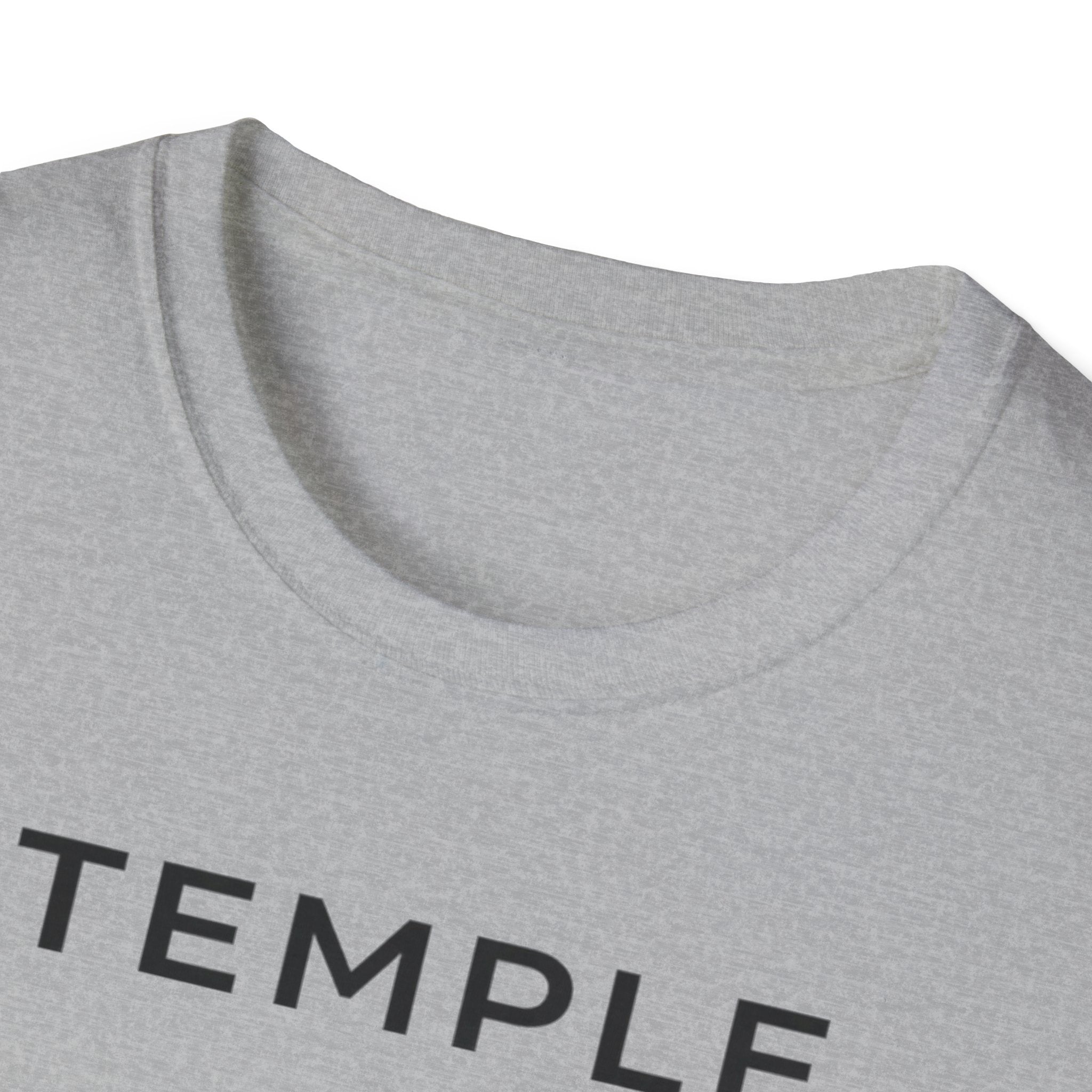 Temple > Comfort T-Shirt