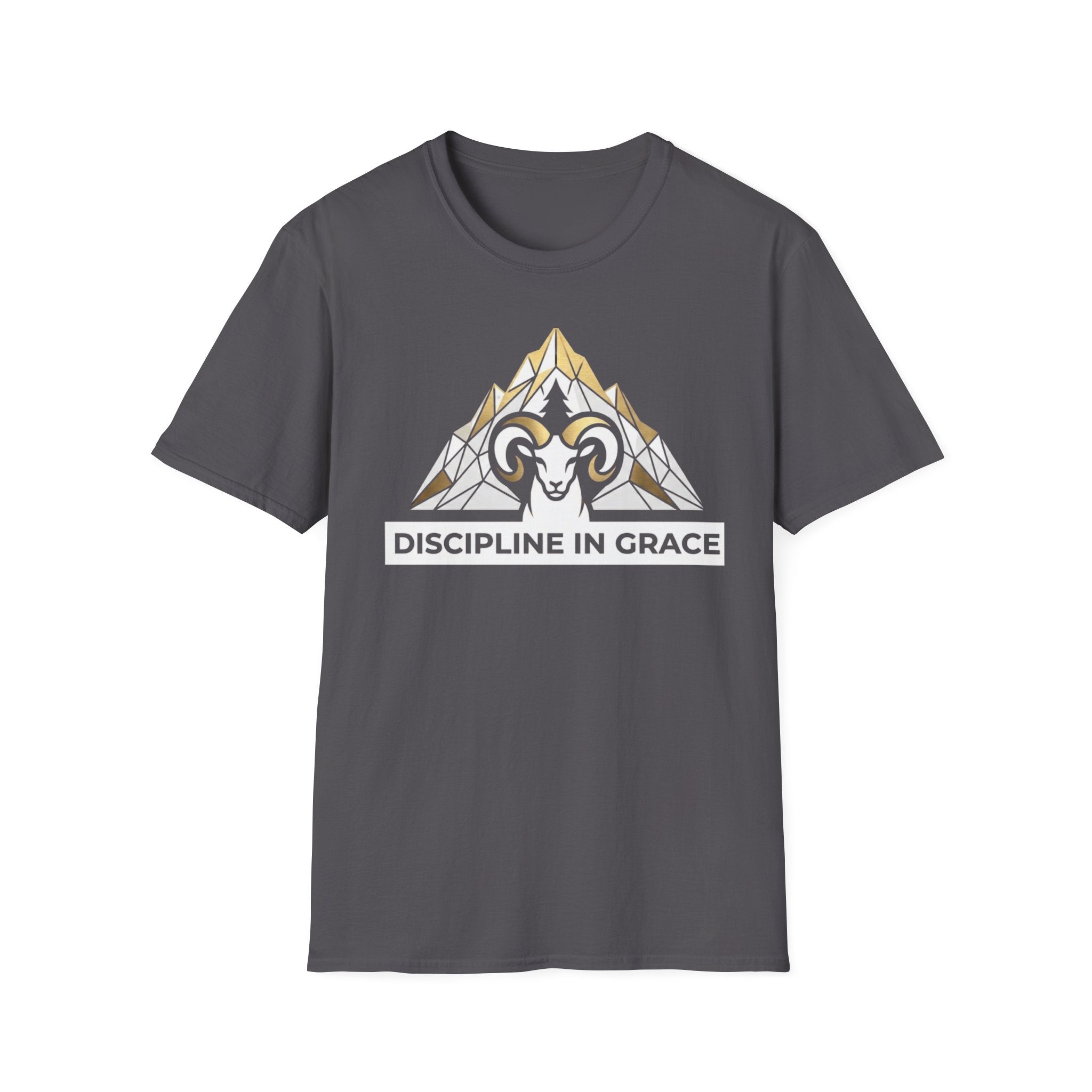Discipline In Grace T-Shirt