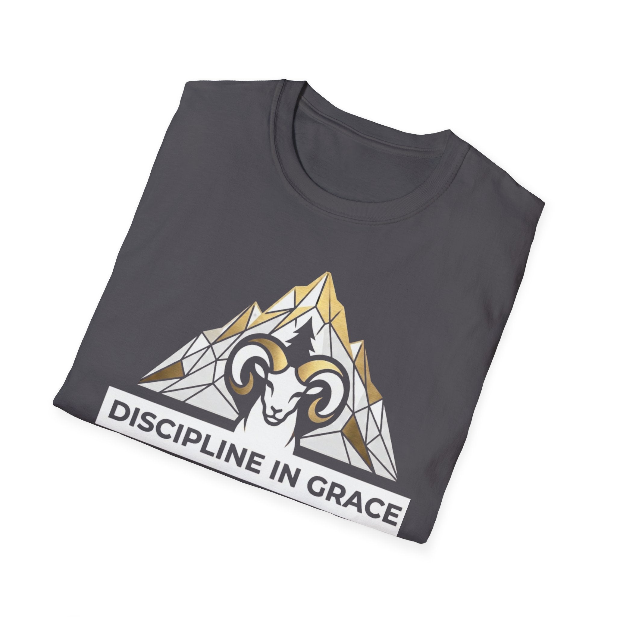 Discipline In Grace T-Shirt