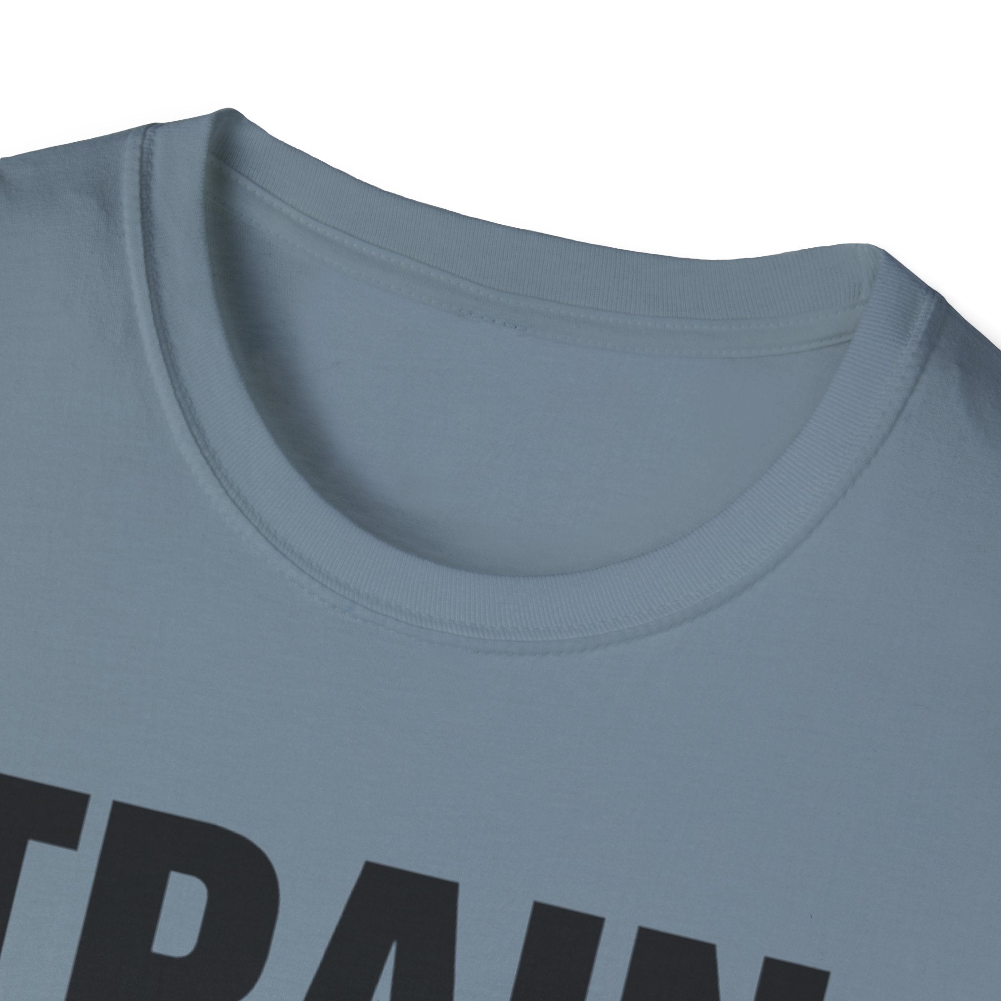 Train In Silence-Temple North T-Shirt