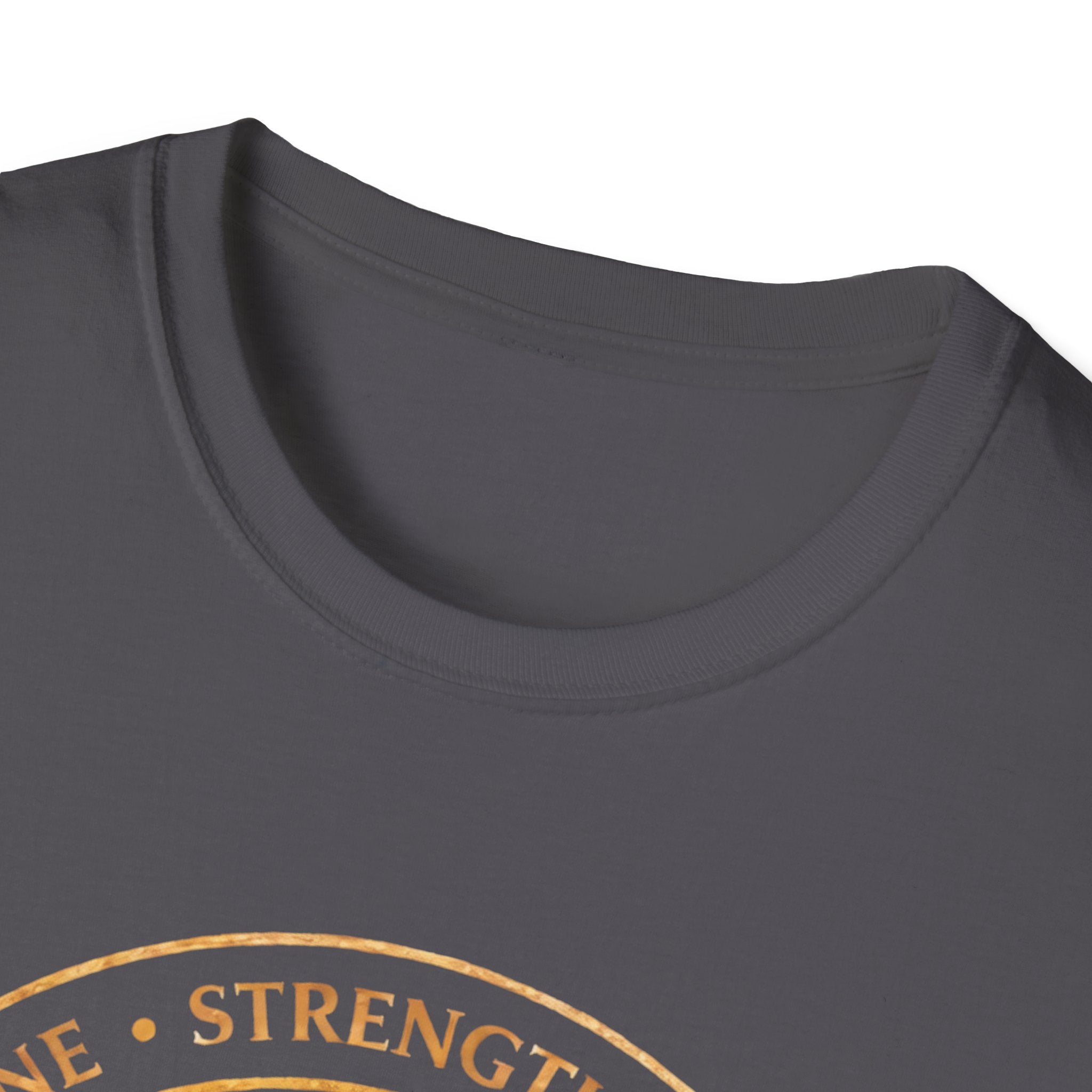 Discipline Strength Direction-Temple North- T-Shirt