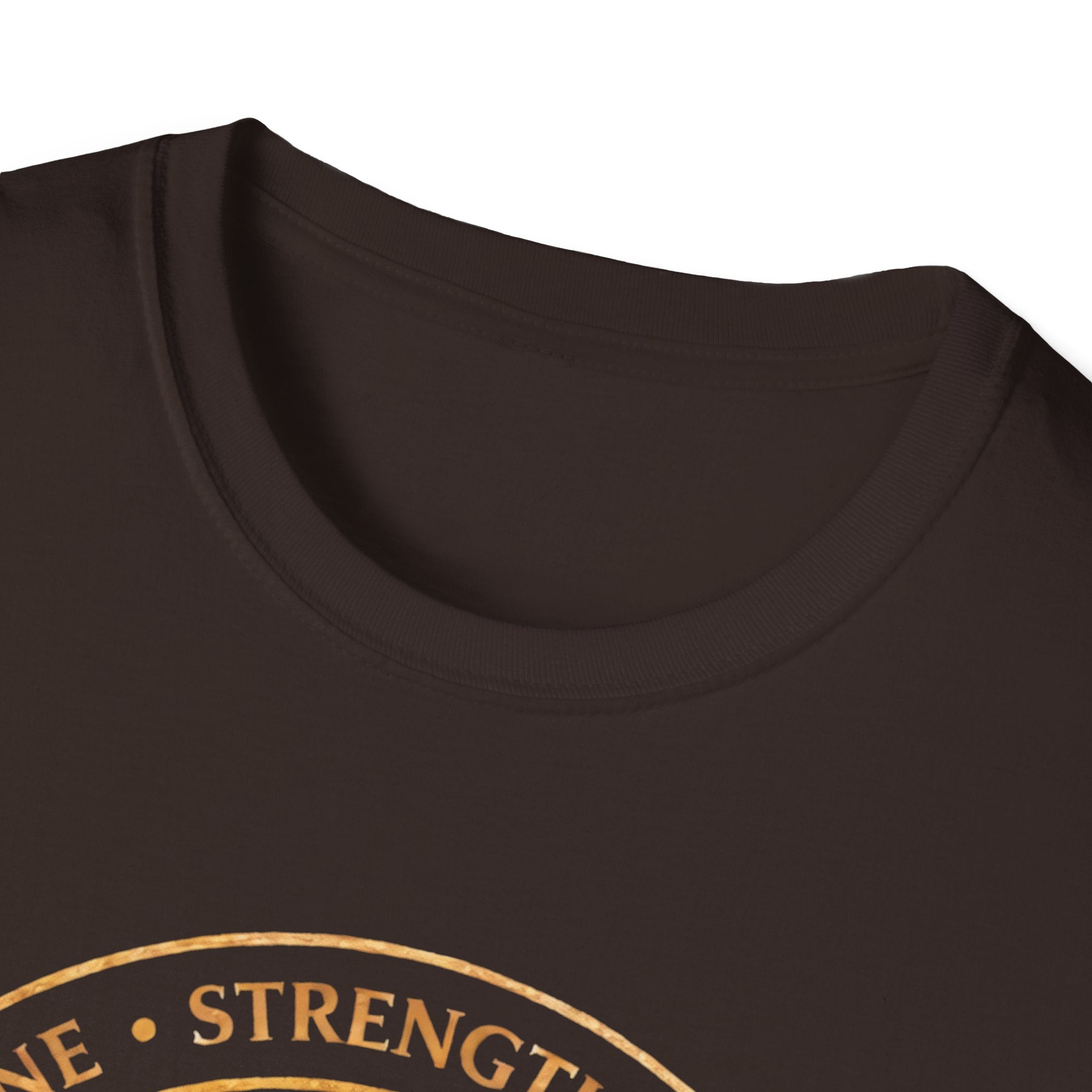 Discipline Strength Direction-Temple North- T-Shirt