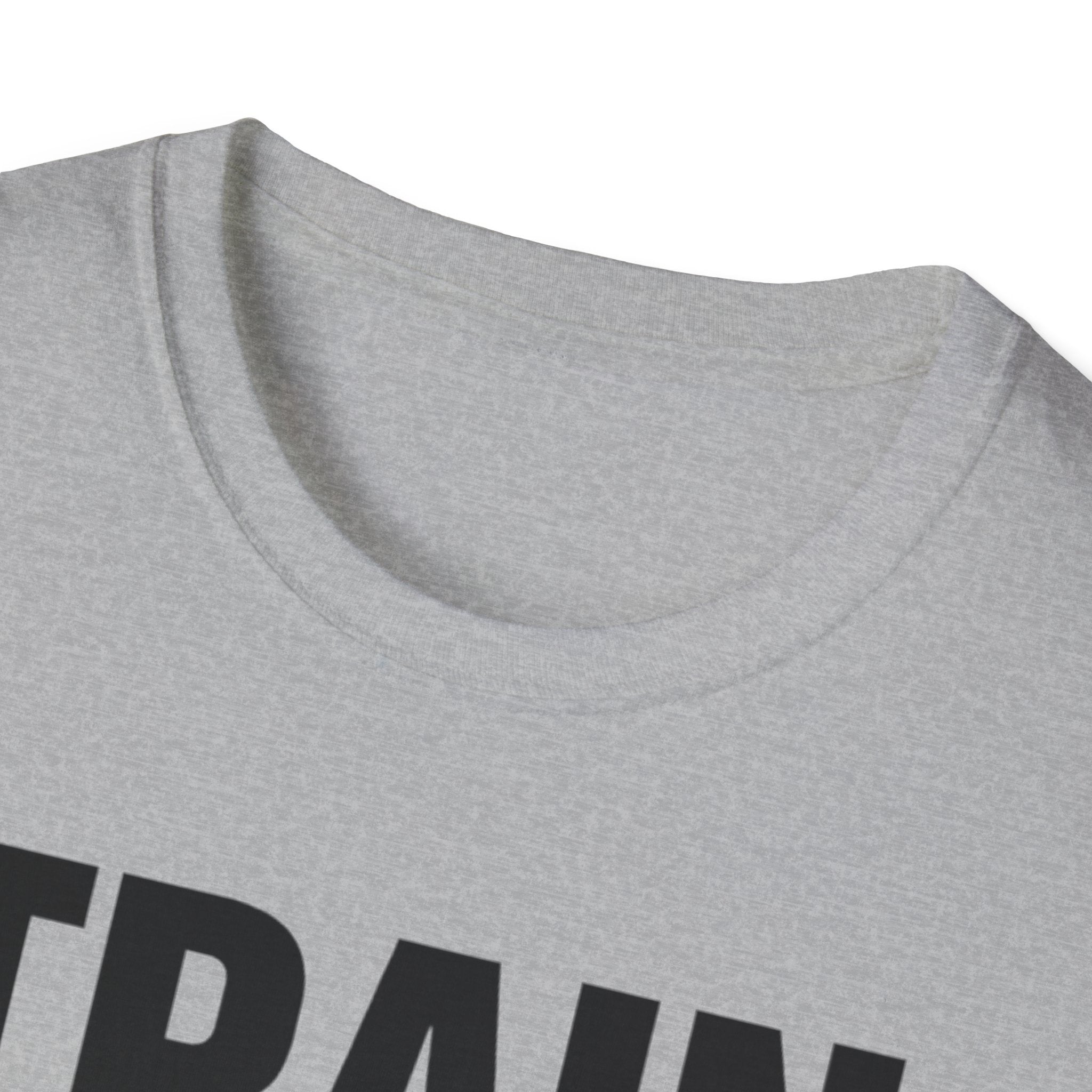 Train In Silence-Temple North T-Shirt