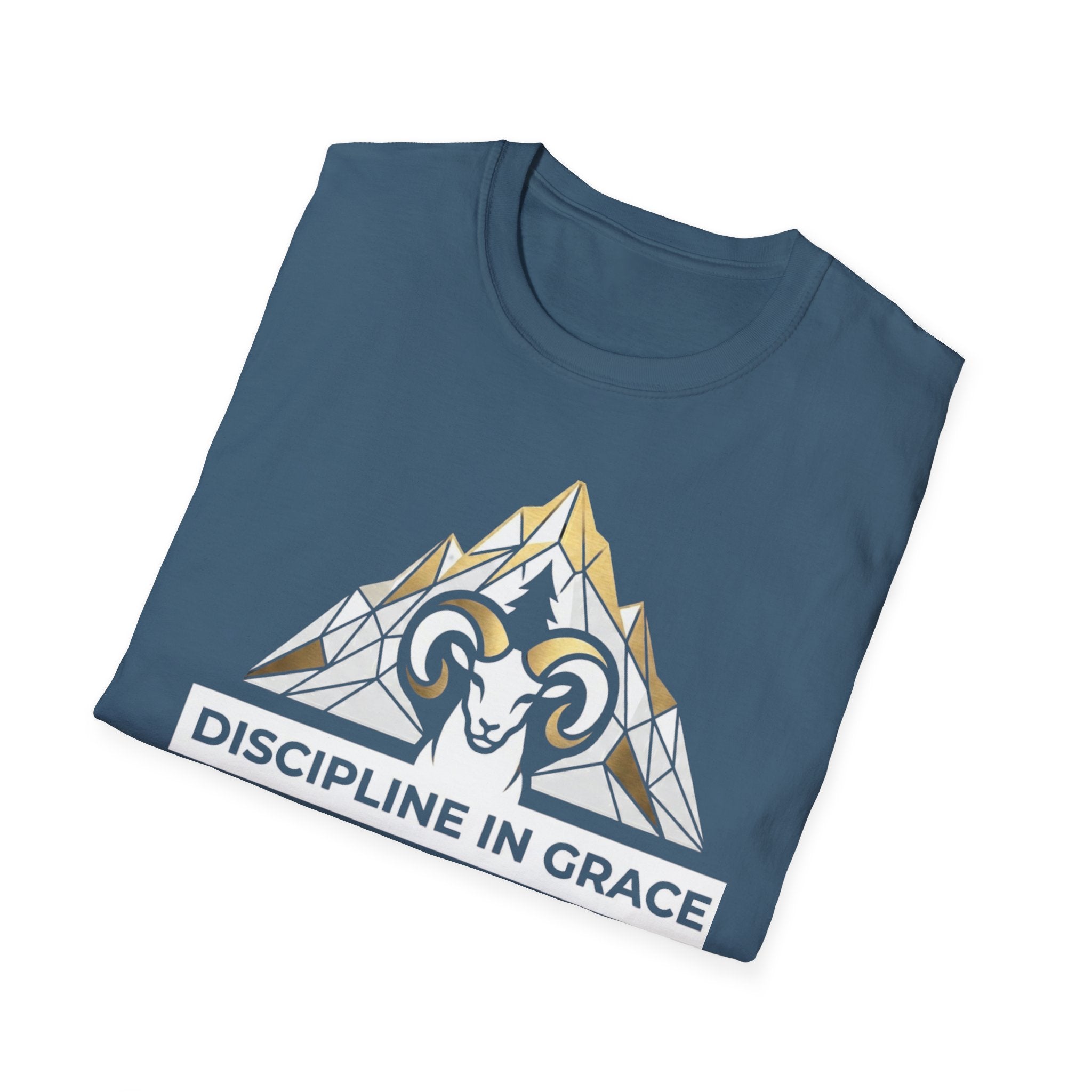 Discipline In Grace T-Shirt